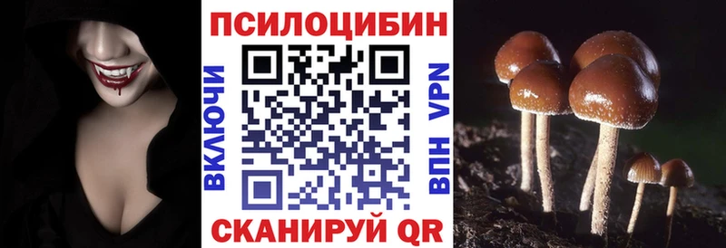 даркнет Telegram кракен сайт Арамиль Галлюциногенные грибы мухоморы